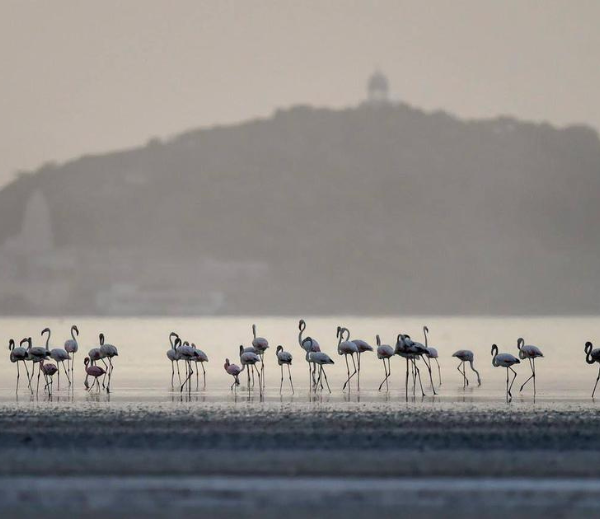 CORCON – Asia's Largest Corrosion Conference in India